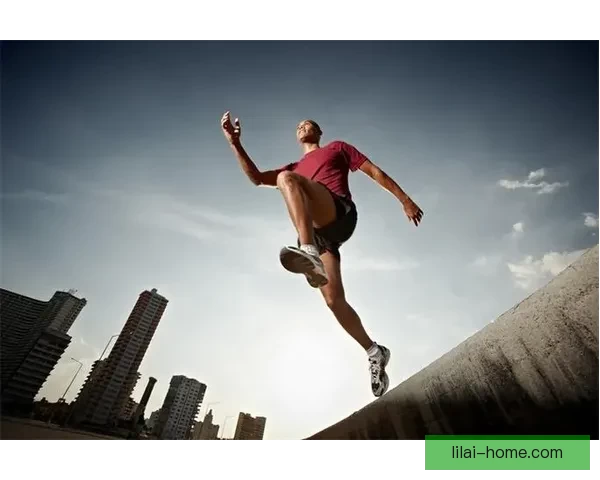 利来使用效果真实评测与用户体验全方位解析指南 利来使用效果真实评测与用户体验全方位解析指南