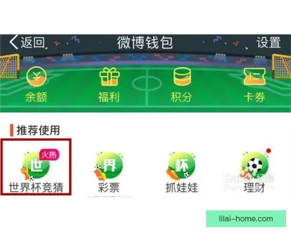 世界杯竞猜注册全攻略新手快速上手技巧与安全平台选择指南