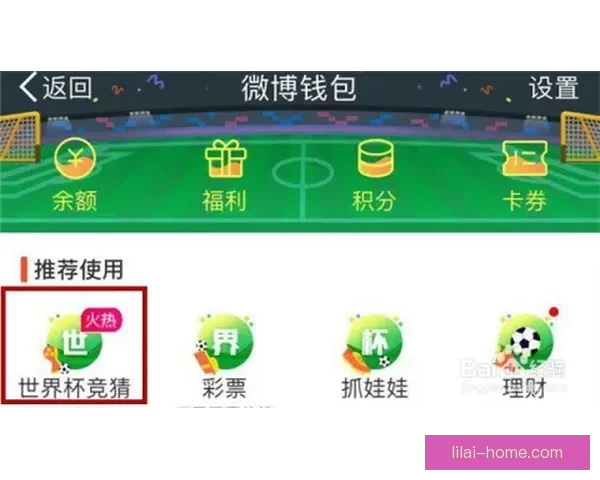 世界杯竞猜注册全攻略新手快速上手技巧与安全平台选择指南